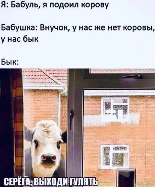 535653979_1315767186656283_550795444788753977_n.webp