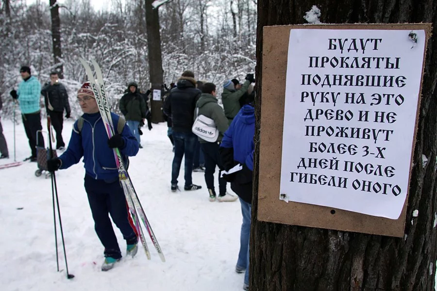 5357416272_d3f5fb9fc3_o.webp