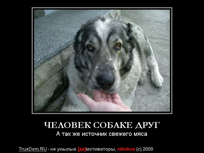 53591523_b7f6811c180c775ed95e5384616e48c8.webp