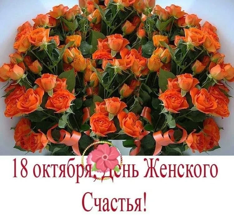 53701136671162f0cd5.webp