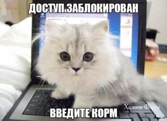 5372566ed98e0d9a.webp