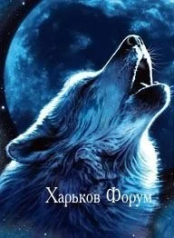 5378b47fc5cc47da0ef.webp