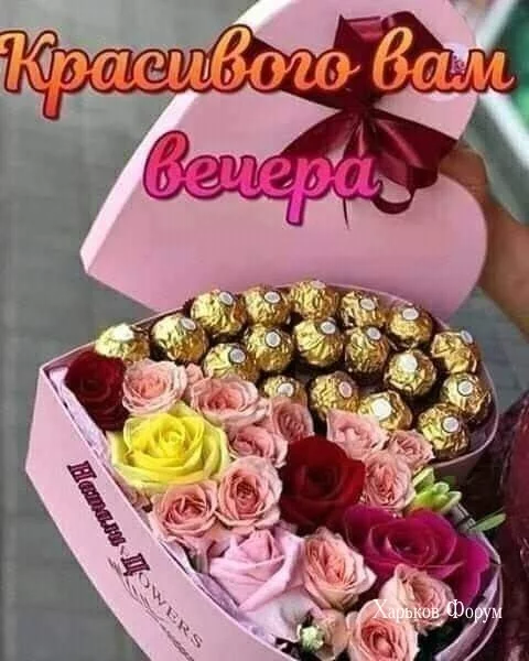 5389227dc2178b0ada45fe0.webp