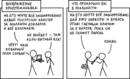 538_v1.webp