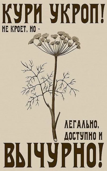 5399_original.webp