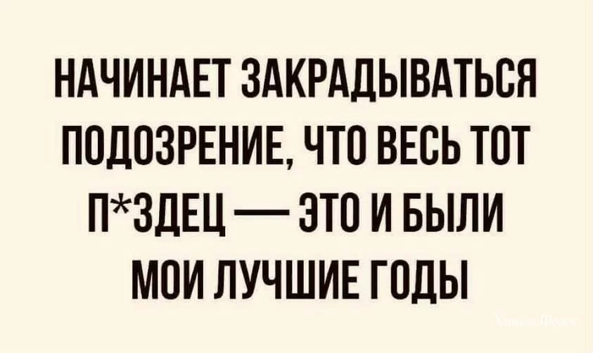 539afa06f99fef01.webp