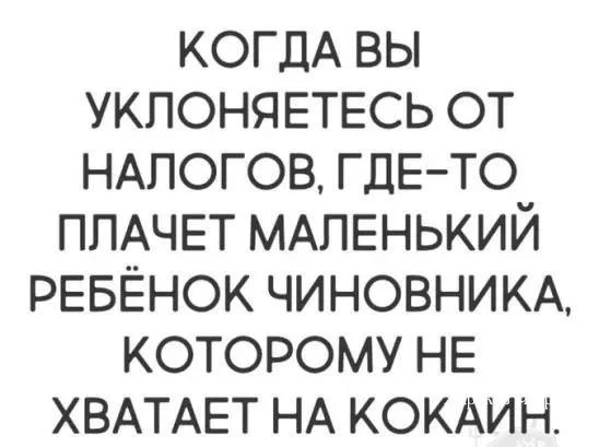 539d179f6157c8ad9b5f31f.webp