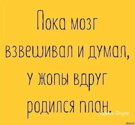 53ad6b16ad71997c03.webp
