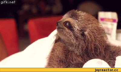 53c2caa56a2408873380.gif