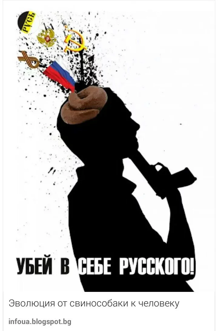 53c3dfe9ad428b7d28ef8fc039db510f.webp