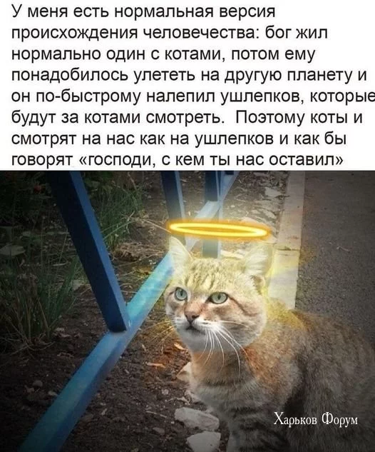 53c5420414c73e7afc.webp