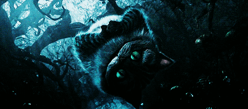 53f96d46121048a5e808.gif