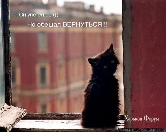 53fae1a987fcfb9729.webp