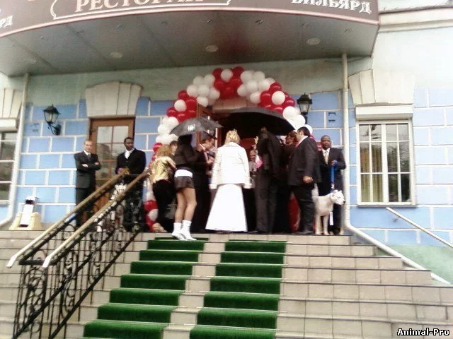 540690500.webp
