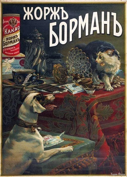 540758085_24604218785877581_1556590259571118686_n.webp