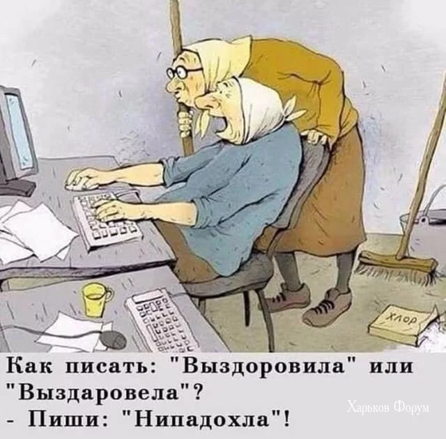 5411dd7be0c4f6113.webp