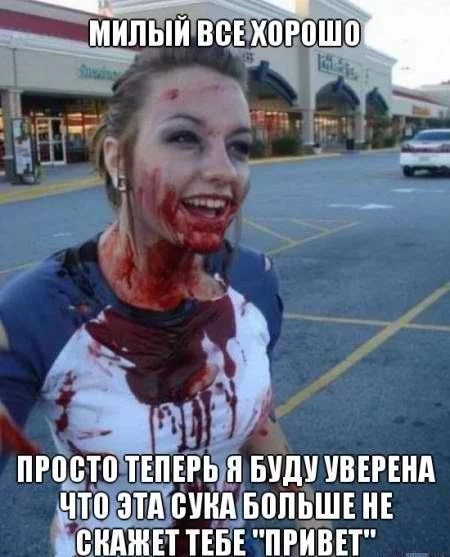 54141.webp