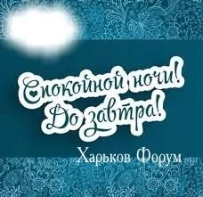 541a07cefd22319ff.webp