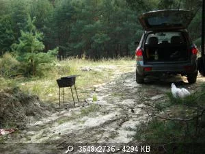 54306_032.webp