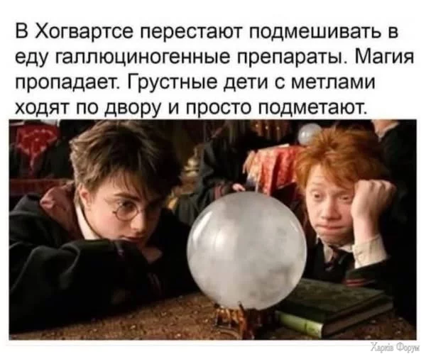 543091728_1296513372107052_5183096570061313245_n.webp