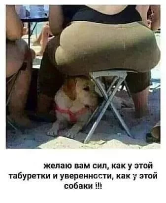 543953562909cd38.webp