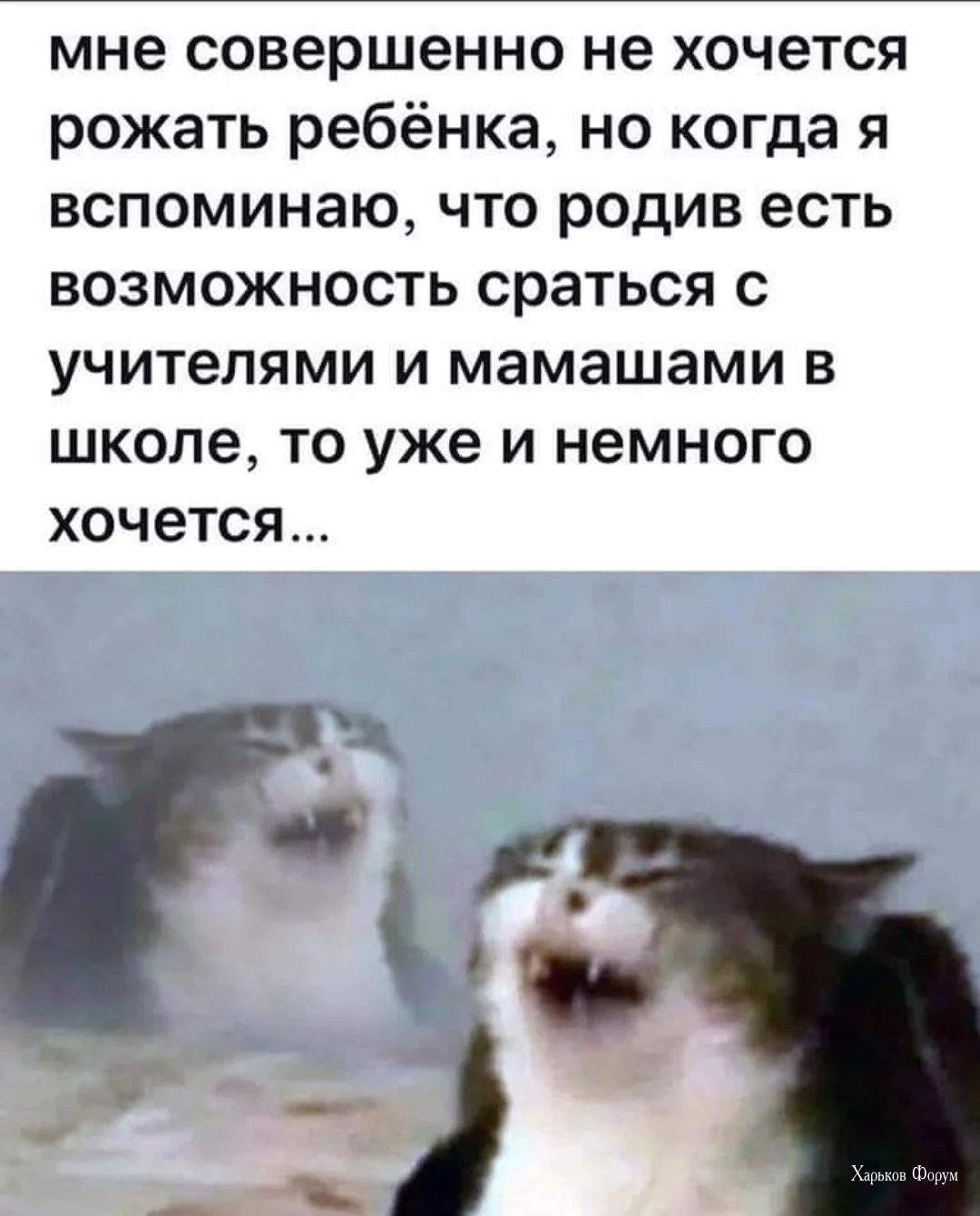 5439da21ffc77421024aa0b.webp