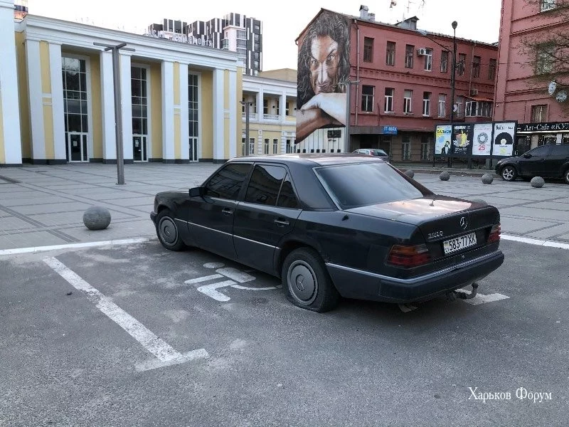 544d9a4b64bd11751a08.webp