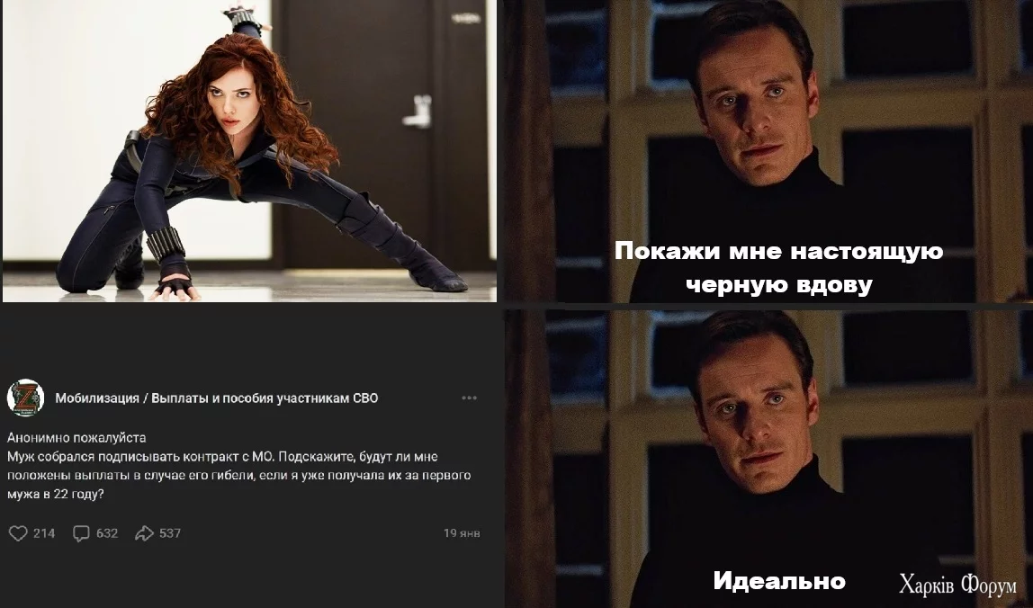5453288.webp