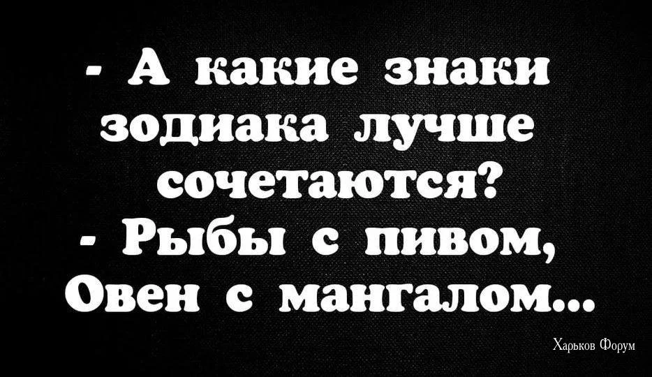 5453cf38fd1a35721ea5a7.webp