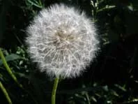 5454.webp