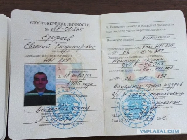 5463821.webp