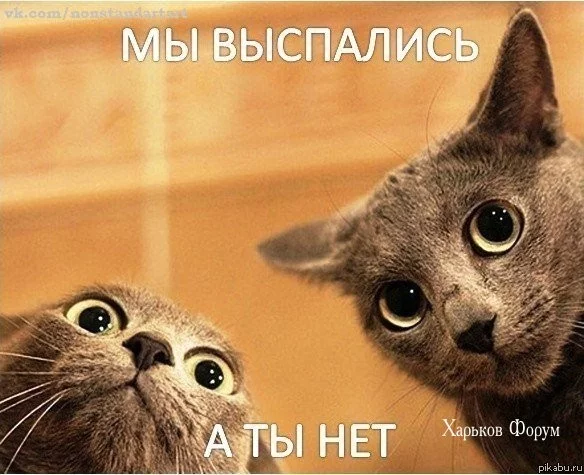 546fd9c79c9ca955dae9.webp