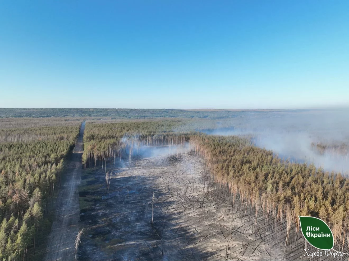 Горять ліси в Ізюмському районі Харківської області