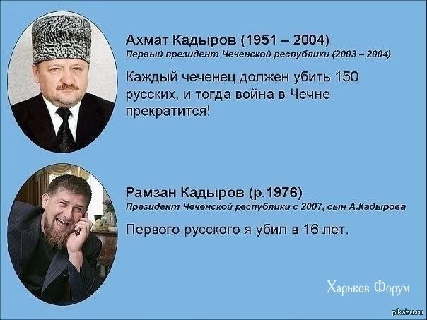 54732c239884ba64b7d.webp
