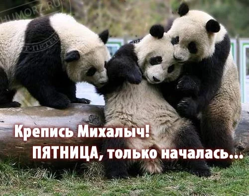 54773835_02.webp