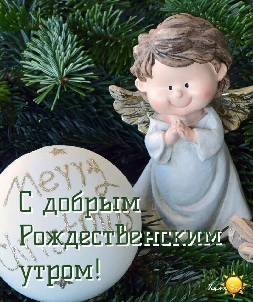 547e20fd48ec8939.webp