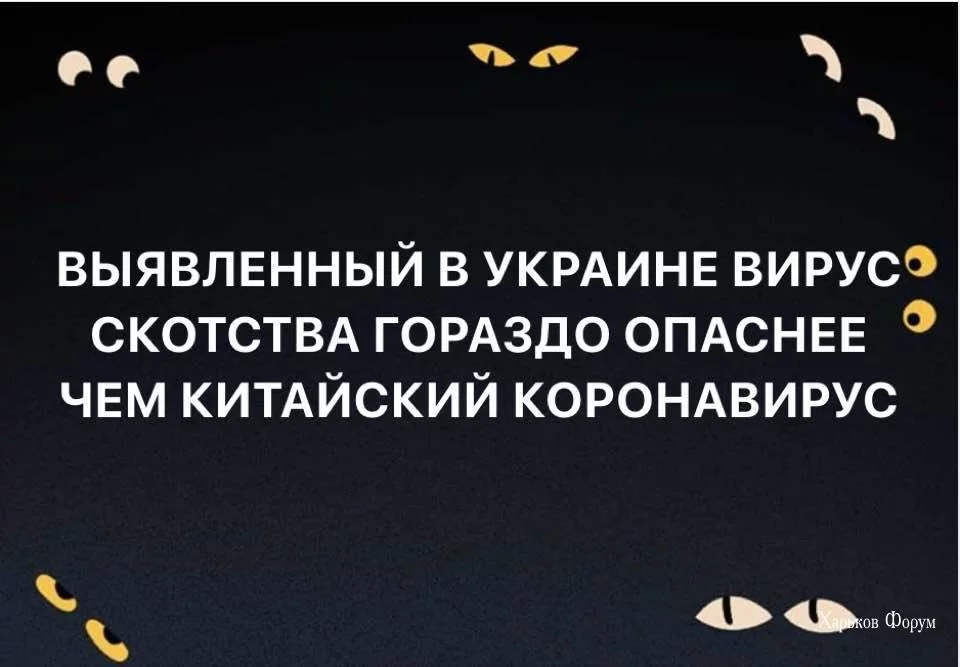 548edd367e4dc91f6123.webp