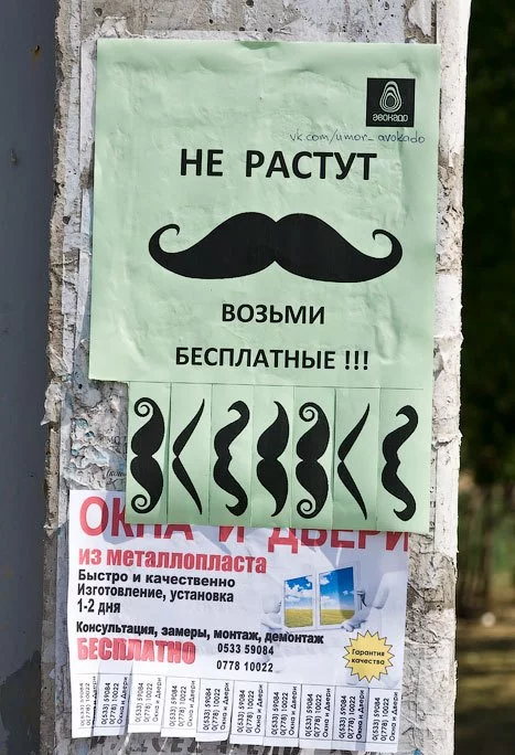 549989.webp