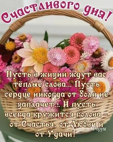 54ac8108774591b9cd503.webp
