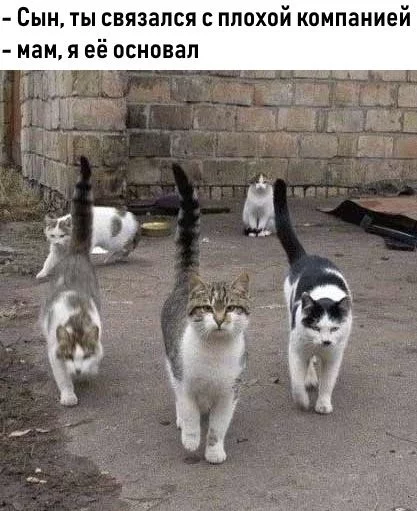 54ba30ec0a07128619e347b917980f2e.webp