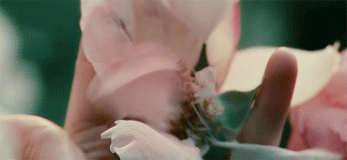 54ffb15e63ccfb16b9.gif