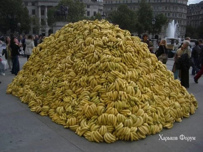 5503c537005d0f1d2f59b37.webp