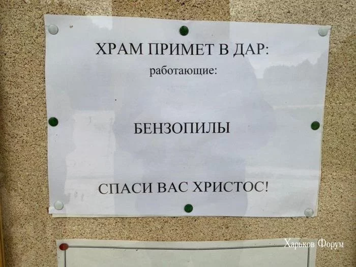 55064858208a69d953aa8.webp
