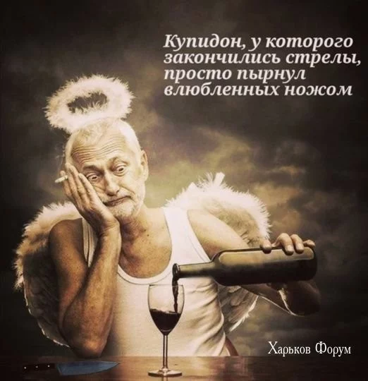 55151a6f934ef1df.webp