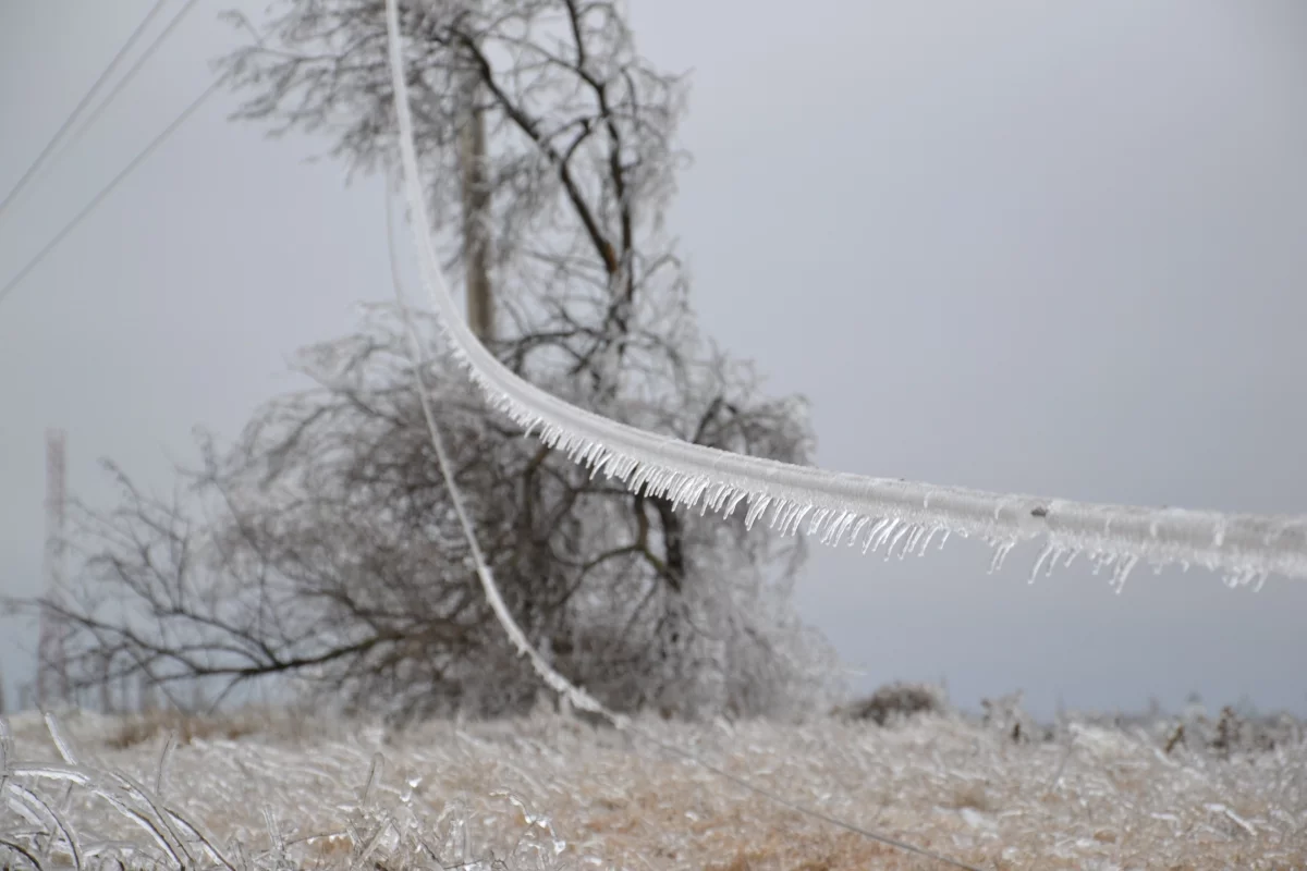 5517a4da325bb_2014-01-31-13-39-02-29791.webp