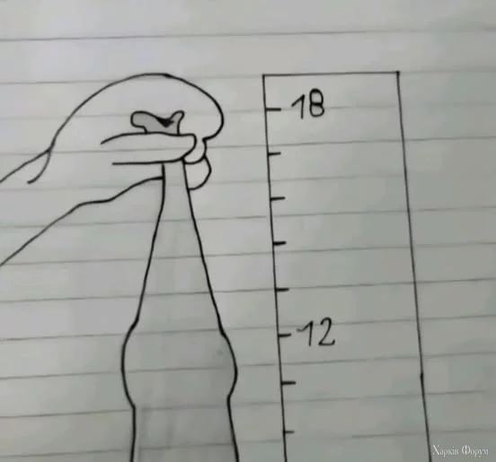 553004924_1129497772483099_5890383800073432405_n.webp