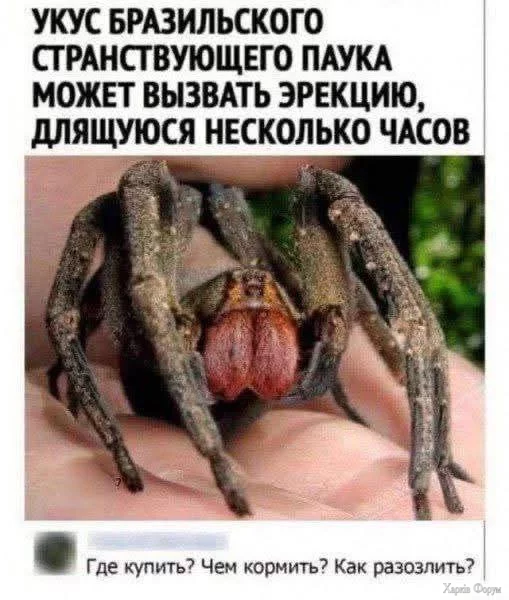 553299796_1239485097861869_4801104495164925669_n.webp