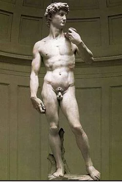 553_david.webp