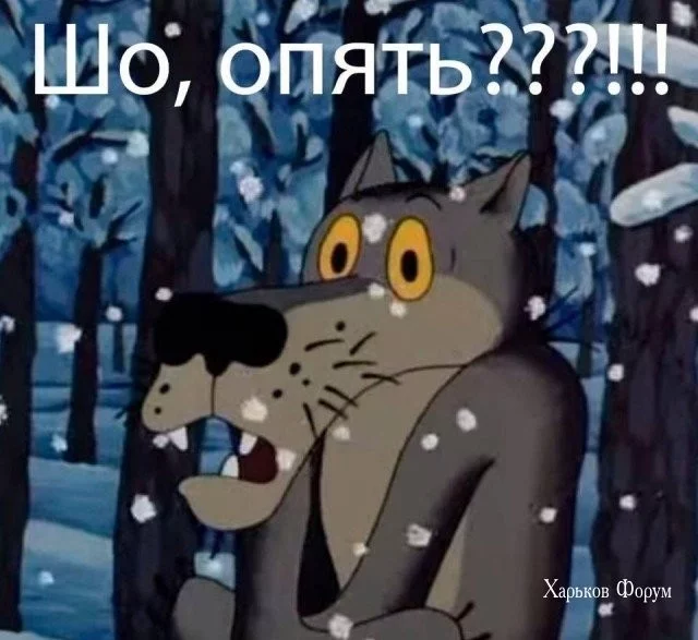 553bc43ade2069677bc306.webp