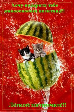 55405947_361f62392613.webp